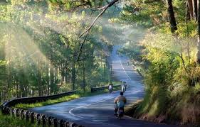 thuê xe cần thơ bích long đi đà lạt